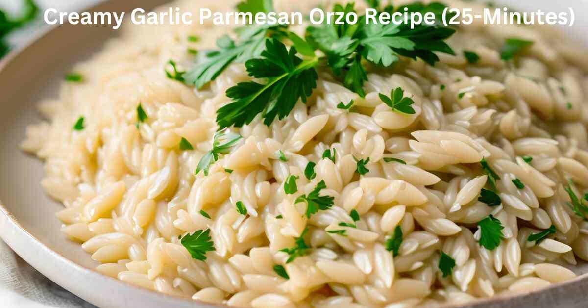 Creamy Garlic Parmesan Orzo Recipe 25 Minutes