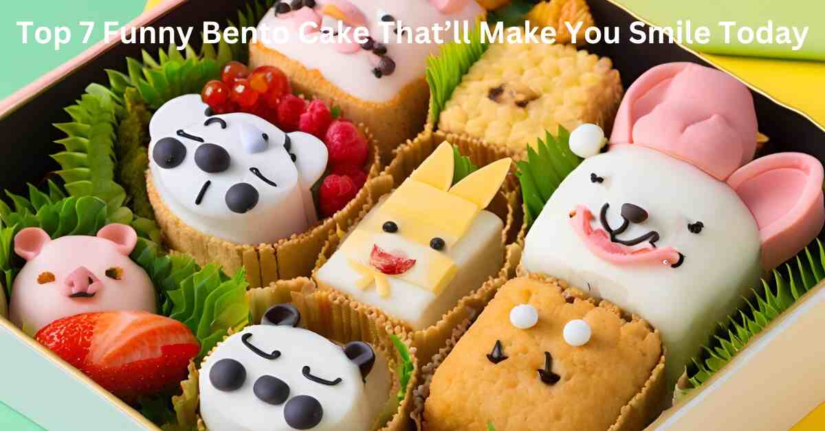 Top 7 Funny Bento Cake That’ll Make You Smile Today