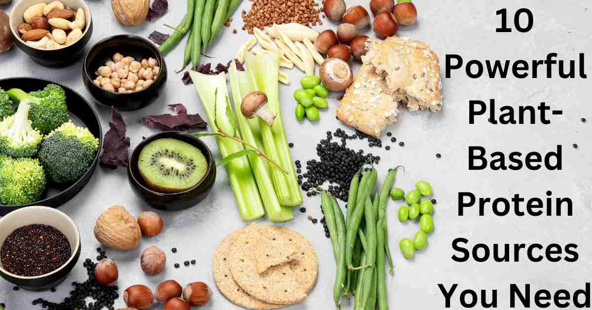 10 Powerful Plant Based Protein Sources You Need